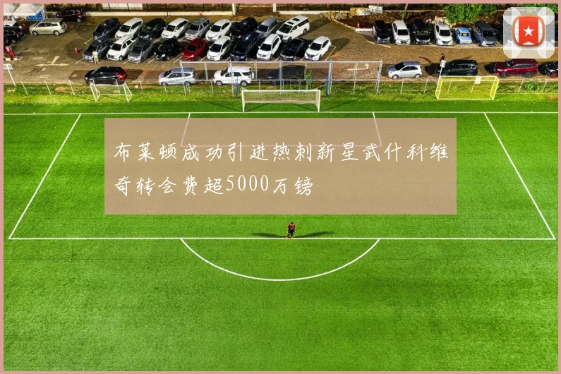 布莱顿成功引进热刺新星武什科维奇转会费超5000万镑